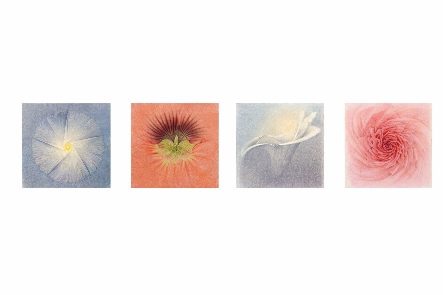 Flores